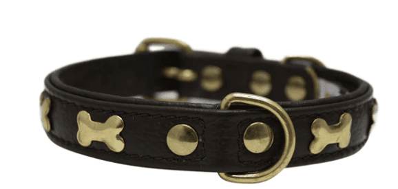 Rotterdam Bones Dog Collar by Angel 14" X 3/4" , Chocolate Brown