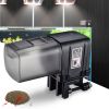 Automatic Fish Feeder