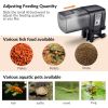 Automatic Fish Feeder