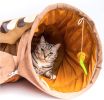 Cat Tunnel Toy Bed with Cushion Mat with Pop up Collapsible 2 Way Tube and Scratching Ball Interactive Toy Peak Hole Hideout House for Cat Puppy Kitte