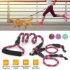 Outdoor No-Tangle Dogs Lead Double Dogs Leash